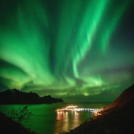 Ocean View Senja